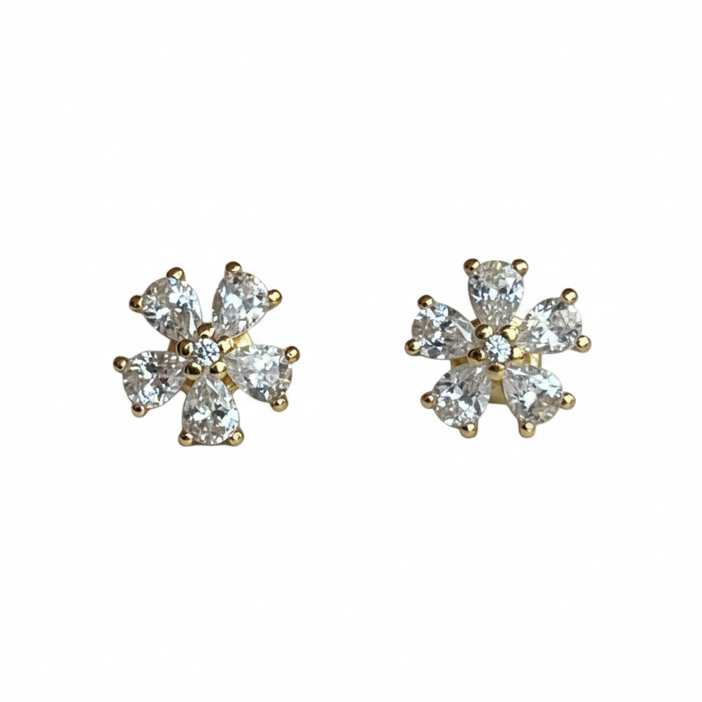 EARRINGS P925