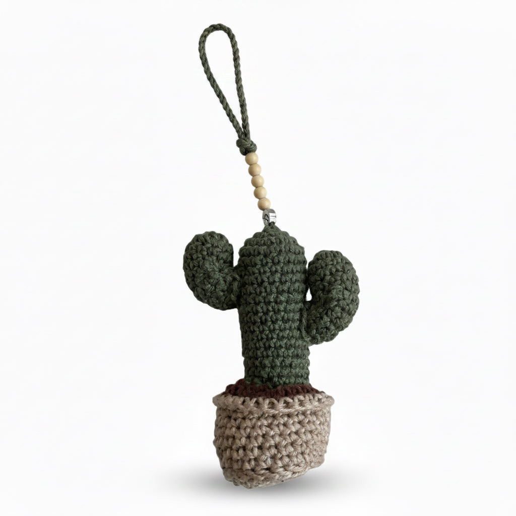 Charm Cactus