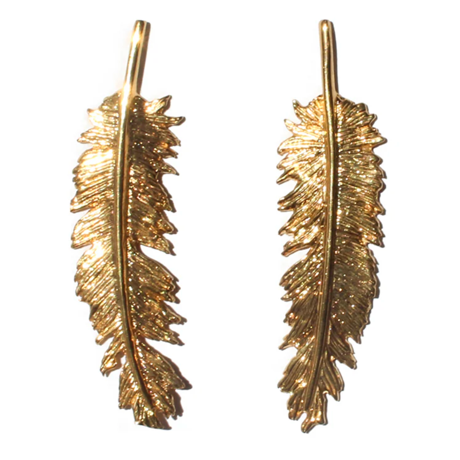 ARETES PLUMA AVE